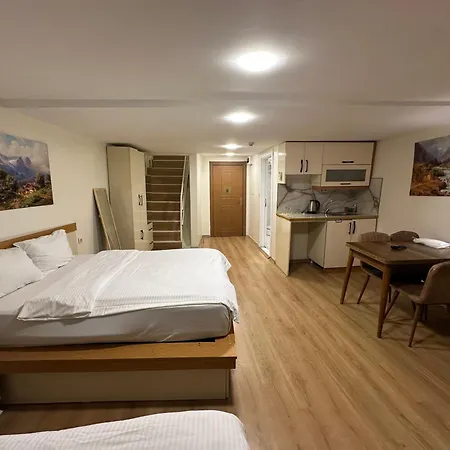 Valence Boutique Taksim 3* Istanbulská provincie