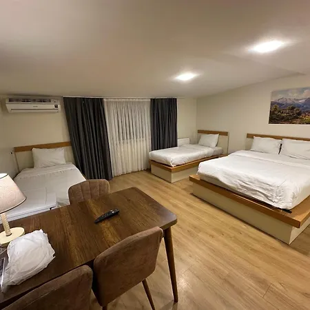 Valence Boutique Taksim 3* Istanbul